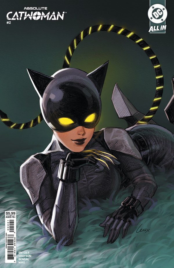 Absolute Catwoman #2b | DC Comics | NM