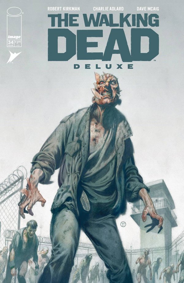 The Walking Dead Deluxe #34e | Image Comics | NM
