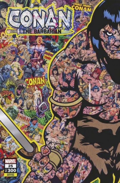 Conan the Barbarian, Vol. 3 #25h | Marvel Comics | NM-