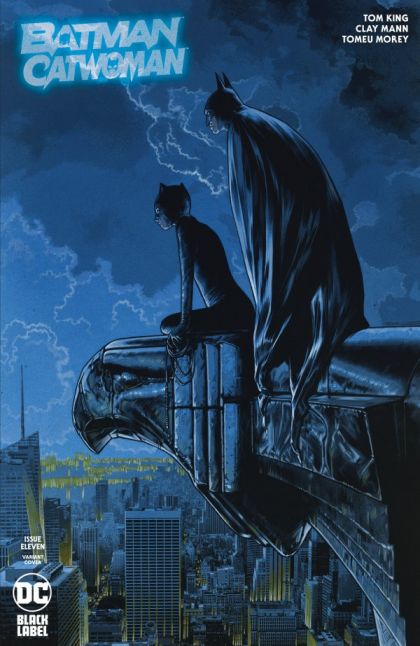 Batman / Catwoman #11c | DC Comics | NM